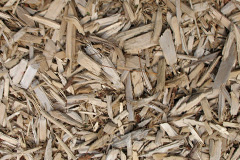biomass boilers Liss
